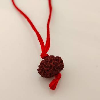 Original 10 Mukhi Indonesia Rudraksha Pendant With Red Thread at Wholesale Rate Chakra Healing Ten Faced Beads 1 Pcs 3