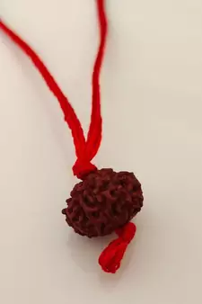Original 10 Mukhi Indonesia Rudraksha Pendant With Red Thread at Wholesale Rate Chakra Healing Ten Faced Beads 1 Pcs