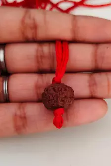 Original 10 Mukhi Indonesia Rudraksha Pendant With Red Thread at Wholesale Rate Chakra Healing Ten Faced Beads 1 Pcs