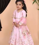 Pink Embroidery Anarkali