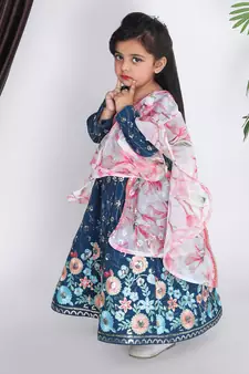 Blue Embroidery Anarkali