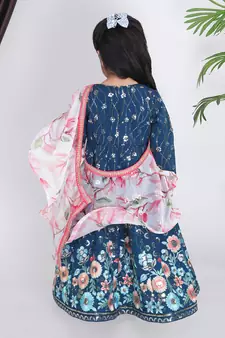 Blue Embroidery Anarkali