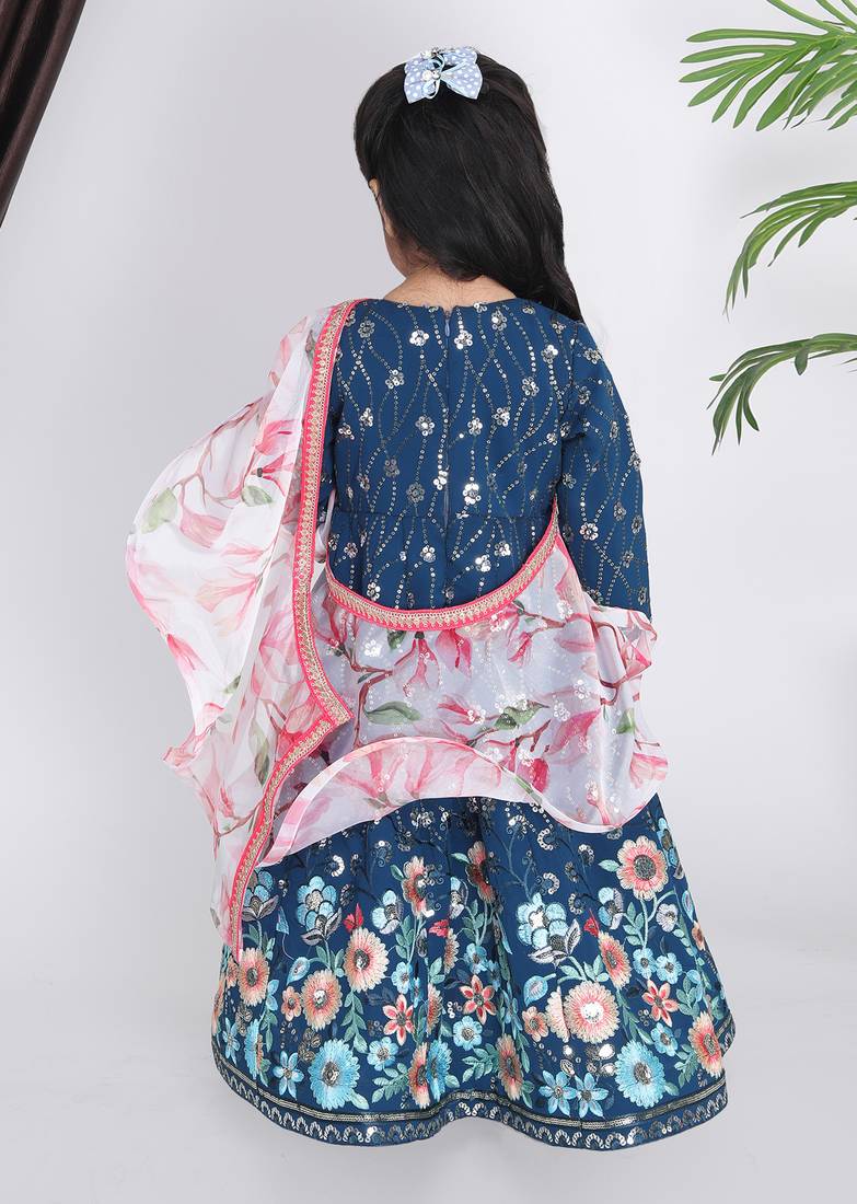 Blue Embroidery Anarkali