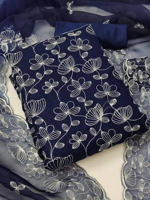 Blue embroidered organza salwar 1