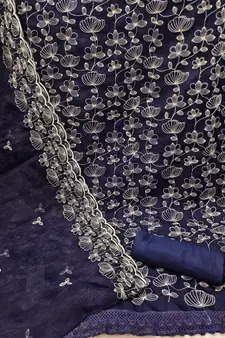 Blue embroidered organza salwar