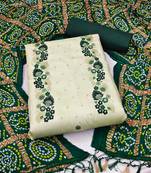 Light-green embroidered silk salwar