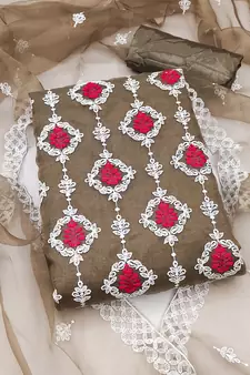 Brown embroidered organza salwar