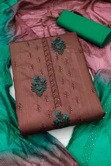 Brown embroidered silk salwar