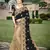 Trendmalls Trendmalls Black  Silk Heavy Embroidery Work Party Wear Saree With Blouse