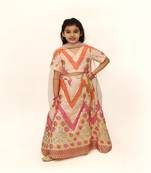 Pink Lehenga Choli and Dupatta set