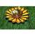 Salvus APP SOLUTIONS Handmade Pure Brass & Iron Flower Shape Diya/Deepak for Pooja/Aarti & Home-Temple (4x4x1.5 Inch)