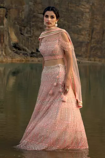 Featuring A Baby Pink Lehenga