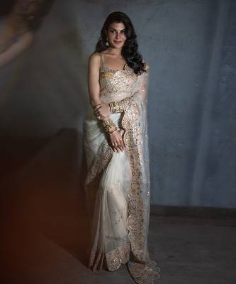 Bageecha Shwet Aur Rangeen Saree 1
