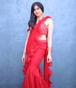 Fazli Red Saree