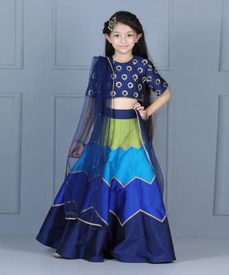 Navy blue embriodered lehenga set 2