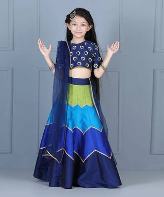 Navy blue embriodered lehenga set 3