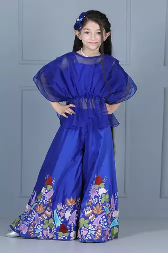 Blue organza embroidered sharara set