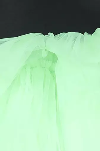 Neo green net tulle dress