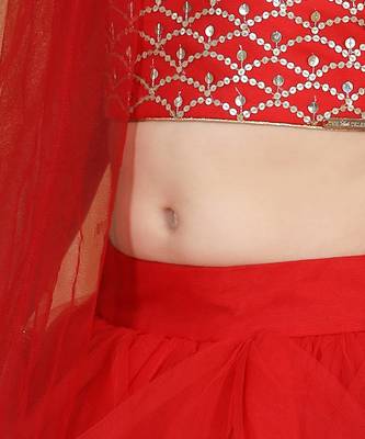 Red net layers and embroidery lehanga set 4