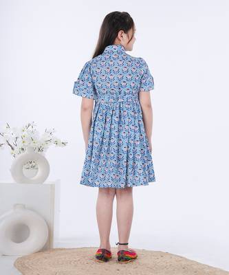 Blue fitoor shirt dress 3