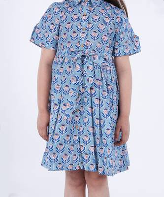 Blue fitoor shirt dress 4
