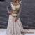 Bindu NET Bollywood Lehenga Saree