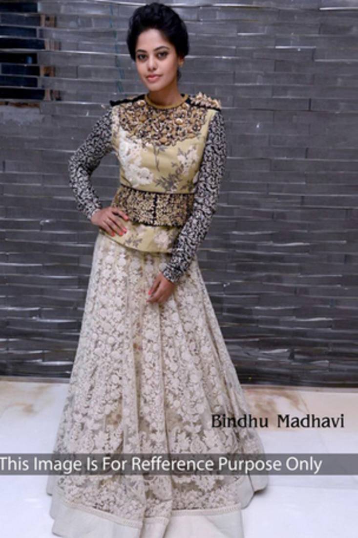 Bindu NET Bollywood Lehenga Saree