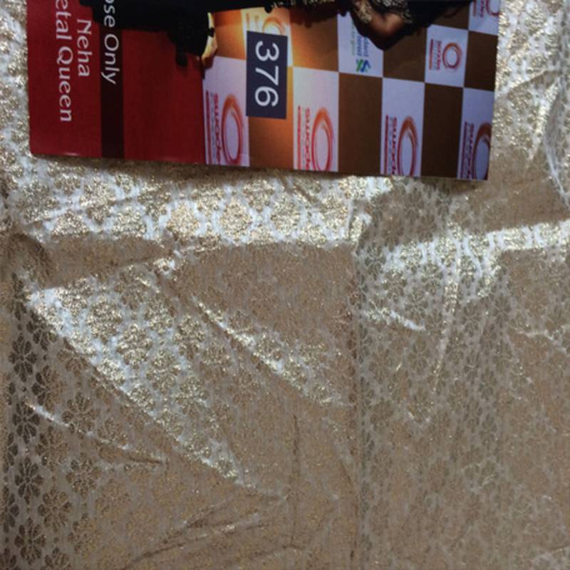 Neha Dhupia NET Bollywood Lehenga Saree