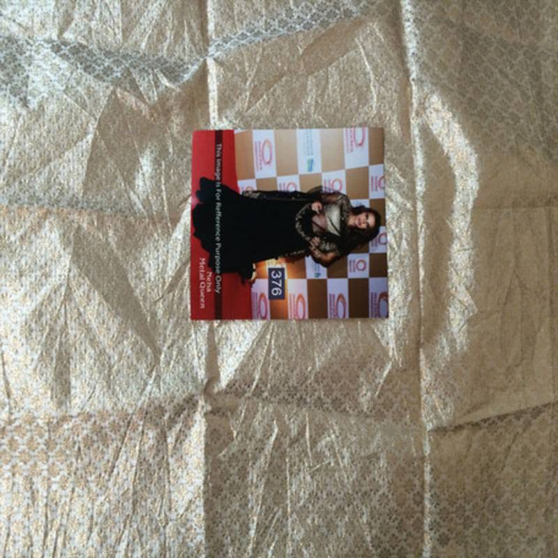 Neha Dhupia NET Bollywood Lehenga Saree