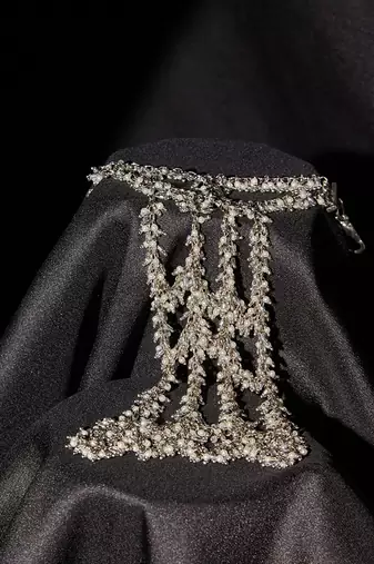 Evania silver hand harness