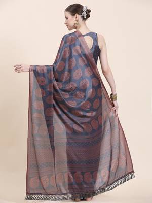 Rujave Copper Grey Chiffon Sarees With Blouse 4