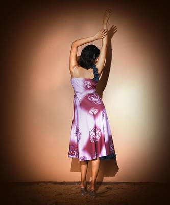 Lavender & Maroon Fairbun Dress Dress 4