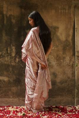 Pastel Coffee Hand Woven Tissue Saree  3