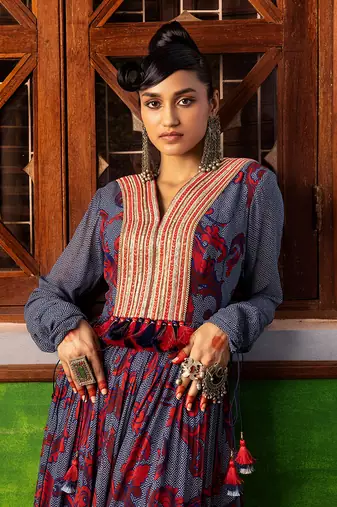 Blue printed & embroidered dress