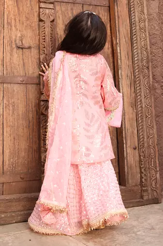 Peach sequence embroidery sharara set