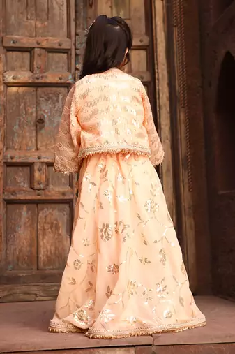 Peach sequence embroidery jacket lehenga set