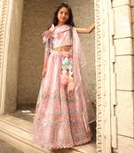 Pink sequence embroidery skirt set