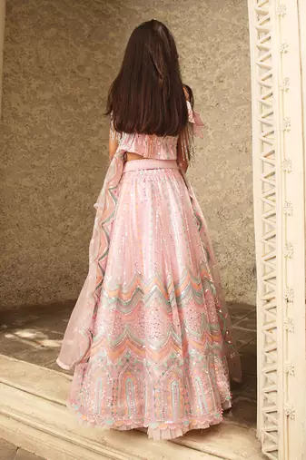 Pink sequence embroidery skirt set