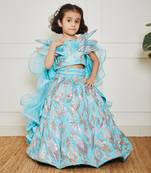 Sky blue embroidery skirt set