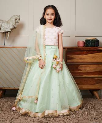 Pink green net embroidery lehenga set 1