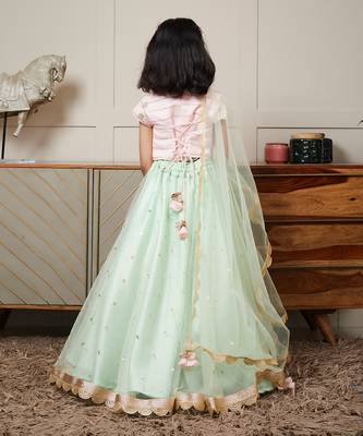 Pink green net embroidery lehenga set 2