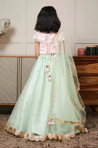 Pink green net embroidery lehenga set