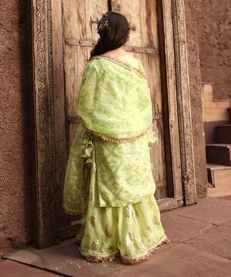 Pista green embroidery sharara set 2