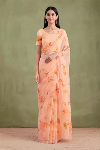Peach Hand Painted Mukaish Chiffon Saree