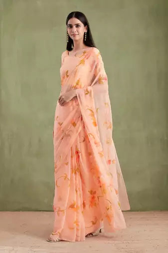 Peach Hand Painted Mukaish Chiffon Saree