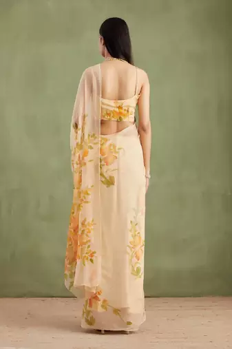Beige Hand Painted Mukaish Chiffon Saree