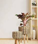 The Advitya Handmade Twisted Jute Rope Planter Set of 2