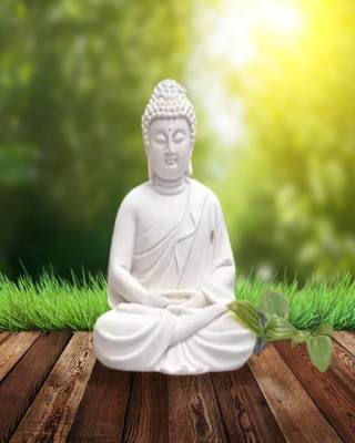 The Advitya Buddha Statue Sitting (White, 5.5-inch) 2