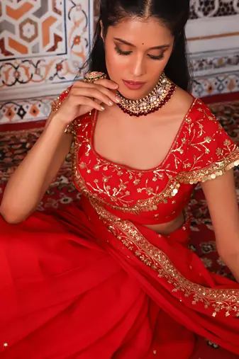 Rust saree set