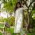 Green Colour Ethnic Kurti Bottom Set For Stylish Ethnic Looks
